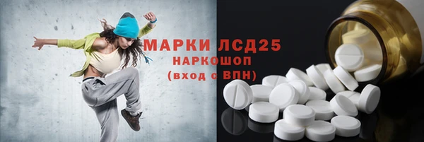 дмт Вяземский