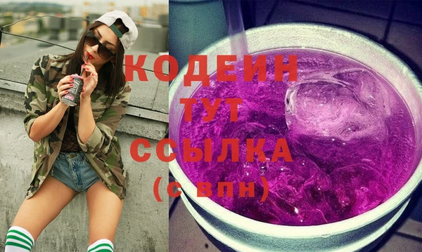 дмт Вяземский