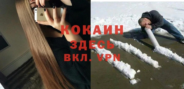 дмт Вяземский