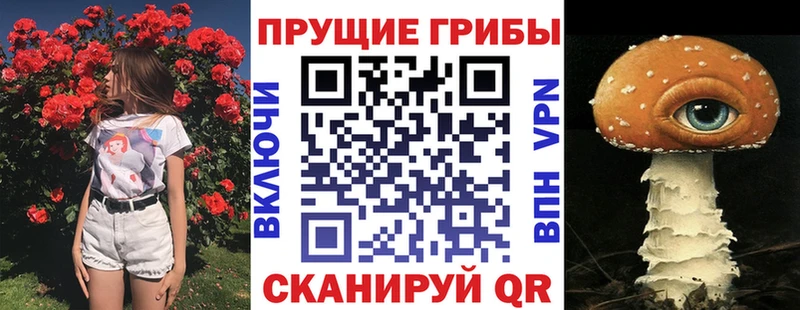 Галлюциногенные грибы Psilocybine cubensis  хочу   Елец 